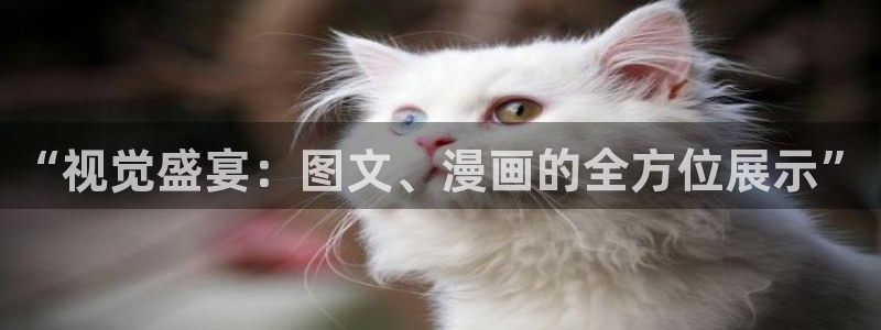 好看的韩漫画免费阅读
