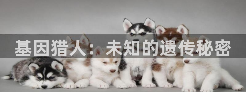 免费韩漫画网站在线观看_下拉式漫画阅读：基因猎人：未知的遗传秘密