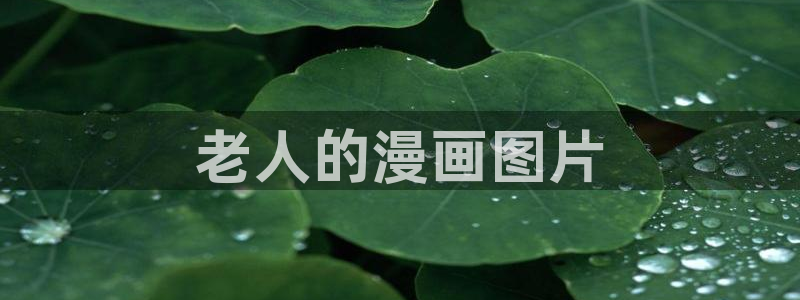 日韩漫画免费在线：老人的漫画图片