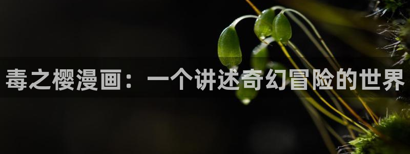 run away韩漫网站：毒之樱漫画：一个讲述奇幻冒险的世界