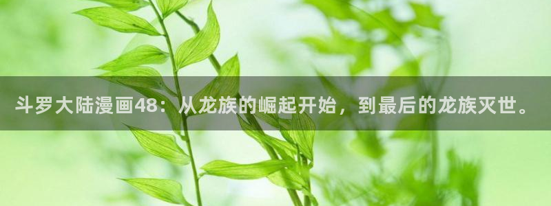 寄宿韩漫在线观看：斗罗大陆漫画48：从龙族的崛起开始，到最后的龙族灭世。