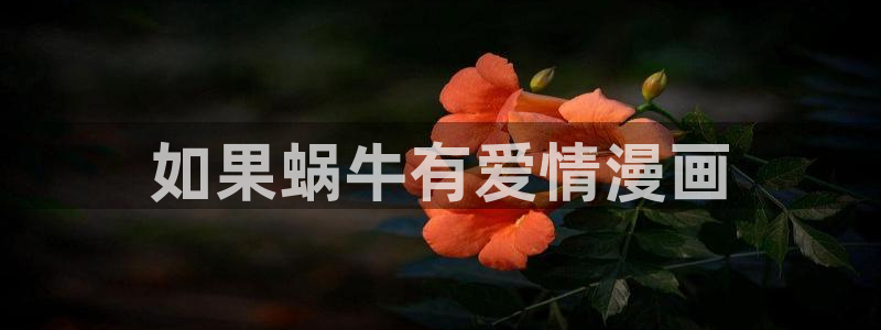 漫画免费韩漫在线看：如果蜗牛有爱情漫画