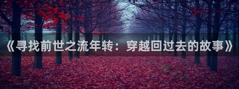 日韩漫画爱：《寻找前世之流年转：穿越回过去的故事》