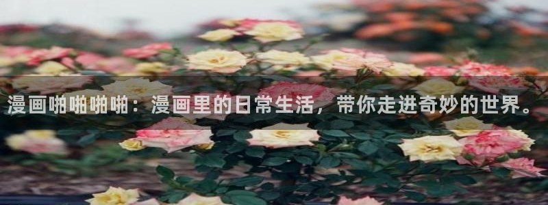 大尺度韩漫免费观看：漫画啪啪啪啪：漫画里的日常生活，带你走进奇妙的世界。