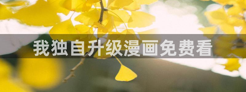 哈哈漫画韩漫免费网站登录：我独自升级漫画免费看