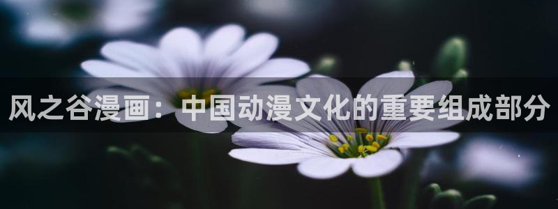 韩漫免费下拉式在线观看大全：风之谷漫画：中国动漫文化的重要组成部分