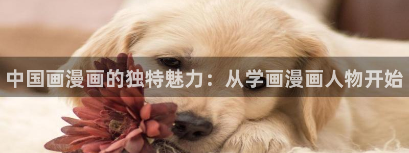 季节之交漫画韩漫在线看：中国画漫画的独特魅力：从学画漫画人物开始