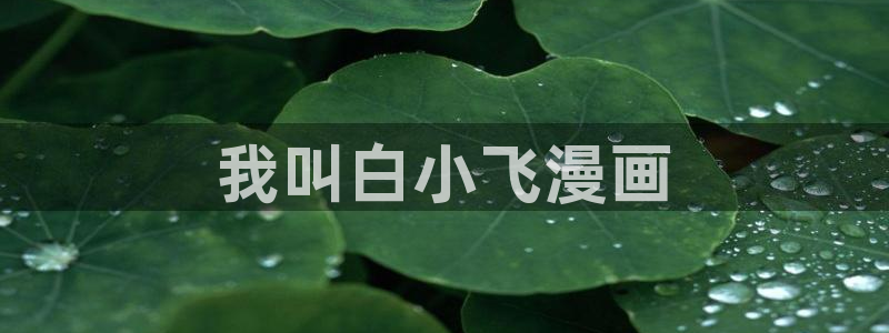 韩漫在线观看免费漫：我叫白小飞漫画