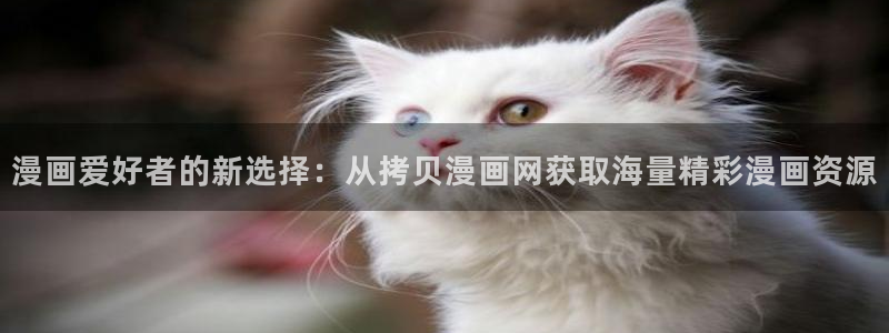 韩漫无遮羞歪歪漫画：漫画爱好者的新选择：从拷贝漫画网获取海量精彩漫画资源
