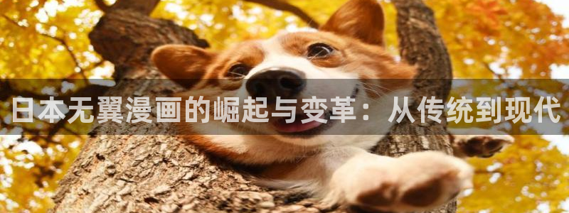 免费漫画韩漫画入口：日本无翼漫画的崛起与变革：从传统到现代