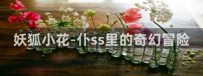 韩漫网站免费观看：妖狐小花-仆ss里的奇幻冒险