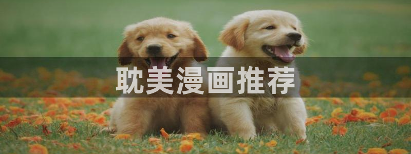 韩漫禁漫：耽美漫画推荐