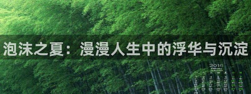 漫画网韩漫大全：泡沫之夏：漫漫人生中的浮华与沉淀