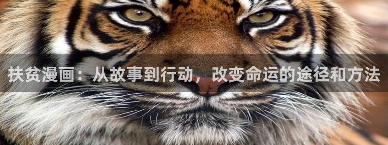 韩漫之家在线观看免费漫画：扶贫漫画：从故事到行动，改变命运的途径和方法