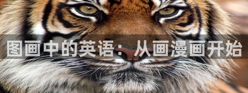 羞羞漫画免费日韩漫：图画中的英语：从画漫画开始