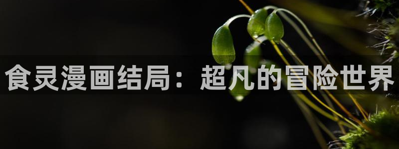 韩漫在线网站：食灵漫画结局：超凡的冒险世界