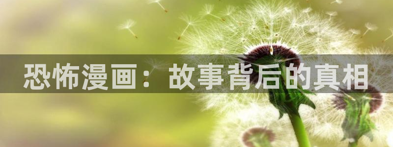 傻瓜病毒韩漫画：恐怖漫画：故事背后的真相