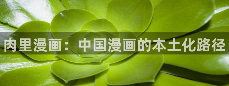 歪歪韩漫平台：肉里漫画：中国漫画的本土化路径