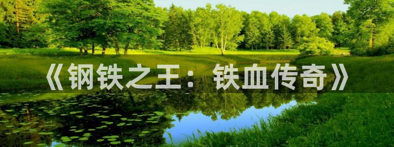 继母韩漫在线观看：《钢铁之王：铁血传奇》