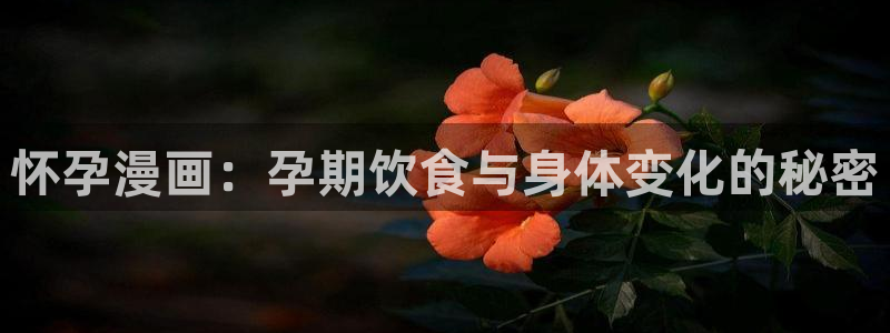 韩漫免费漫画下拉式漫画：怀孕漫画：孕期饮食与身体变化的秘密