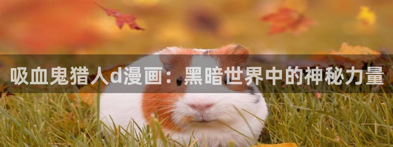 韩漫之家漫画免费：吸血鬼猎人d漫画：黑暗世界中的神秘力量